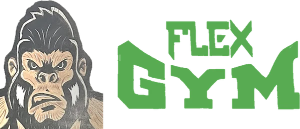 Flex Fitness logosu